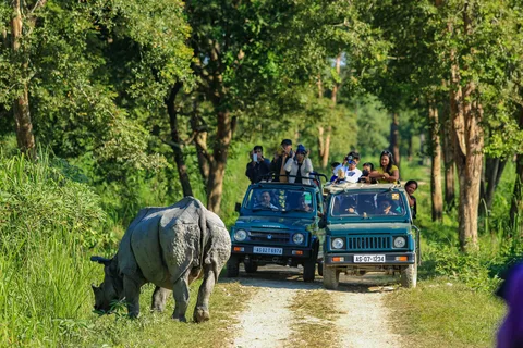 Eastern Range Safari