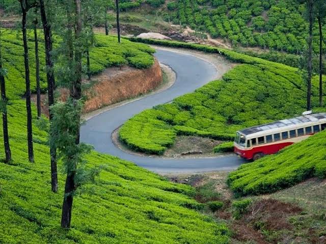 Munnar – Cochin