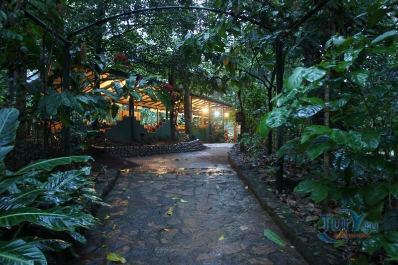 Dambulla – Matale – Kandy