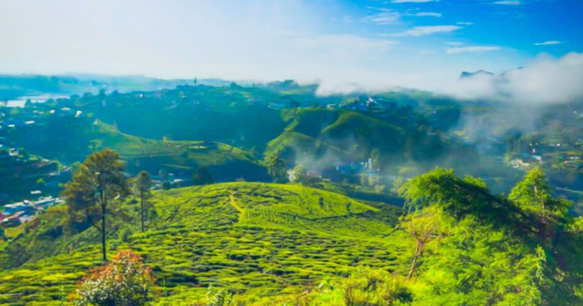 Kandy – Ramboda – Nuwara Eliya